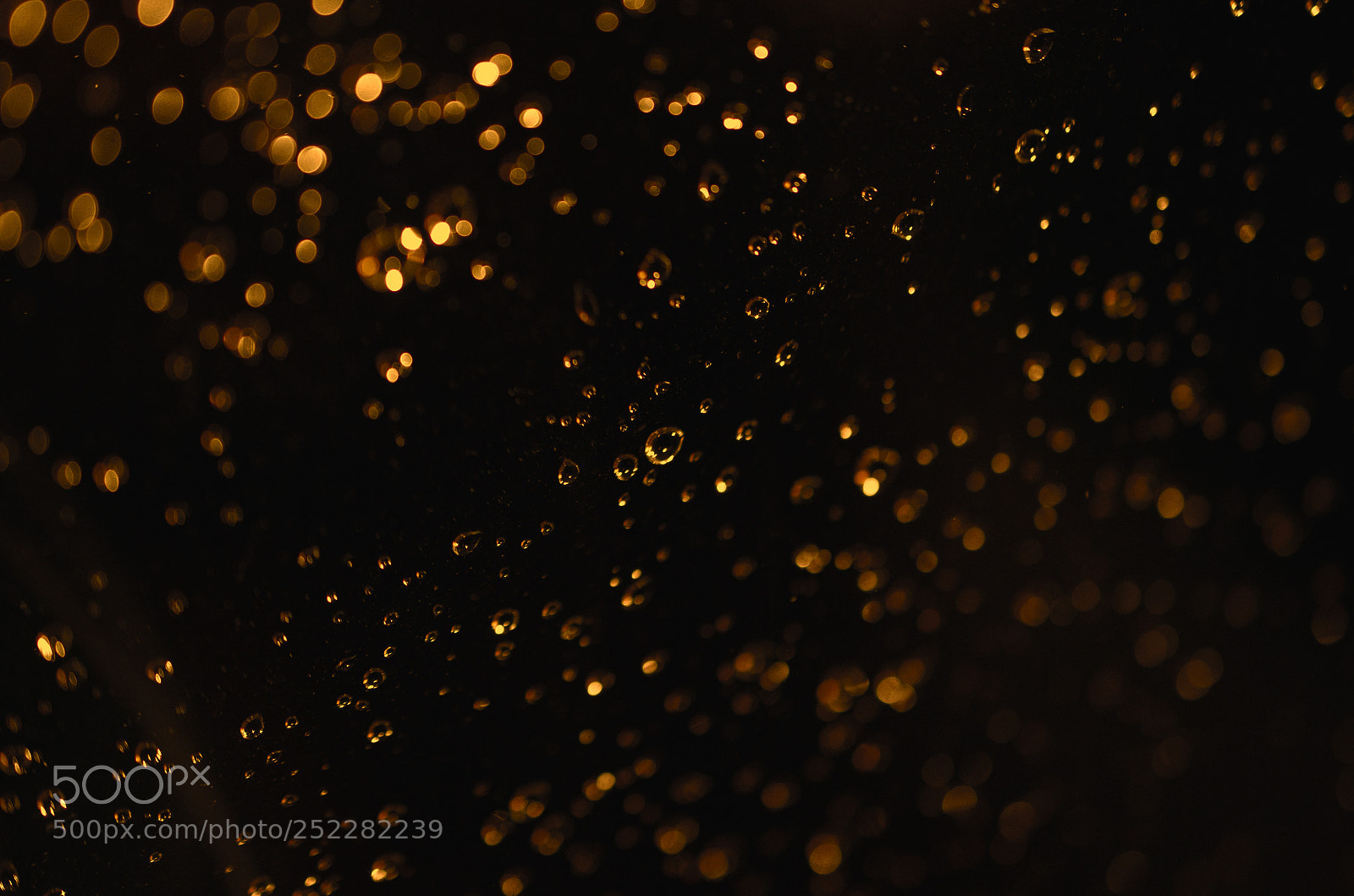 Nikon D5100 sample photo. Abstract water drops closeup photography
