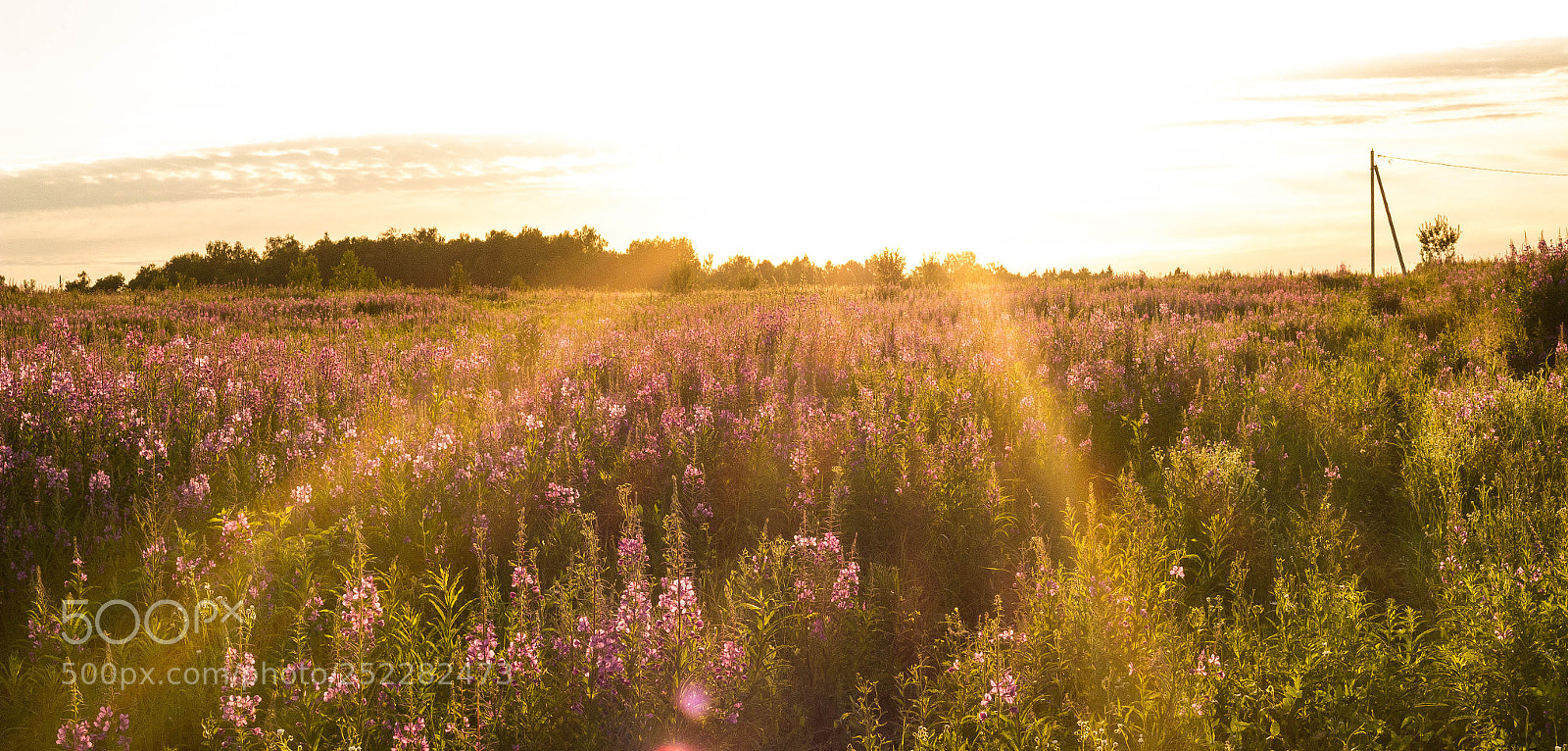 Canon EOS 600D (Rebel EOS T3i / EOS Kiss X5) sample photo. So much sun photography