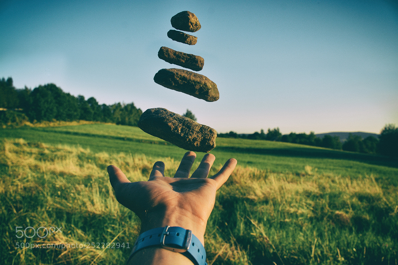 Nikon D7100 sample photo. Balance photography