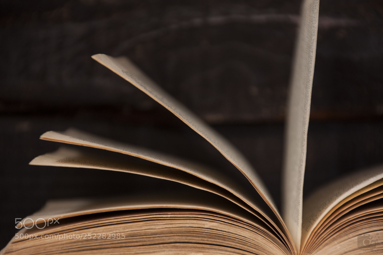 Canon EOS 40D sample photo. Reading time- 4 photography
