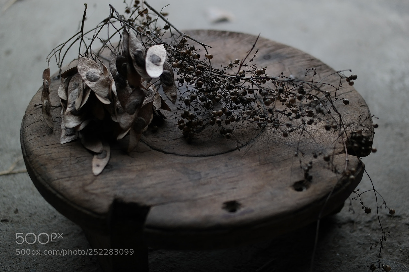 Samsung NX300 sample photo. Untitled photography