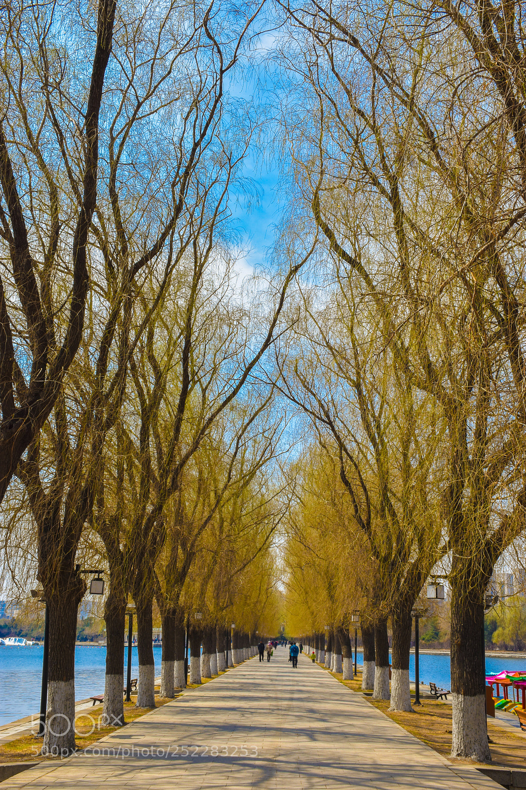 Nikon D7200 sample photo. Untitled photography