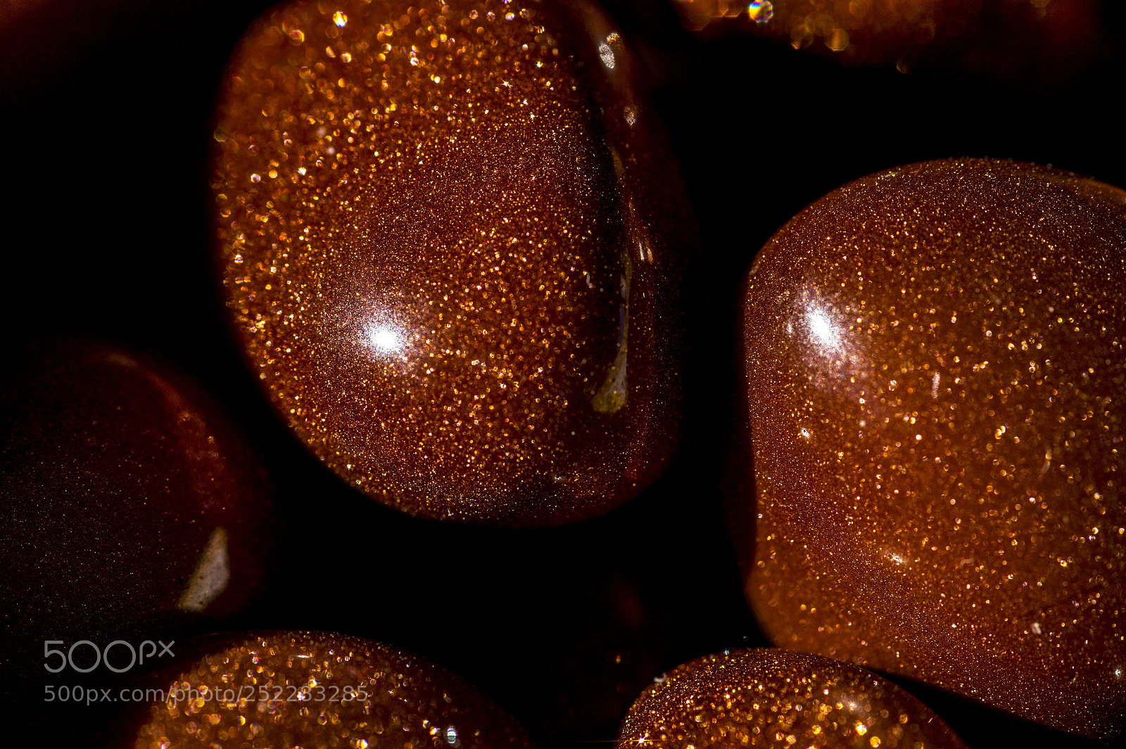 Nikon D4 sample photo. Red and gold photography