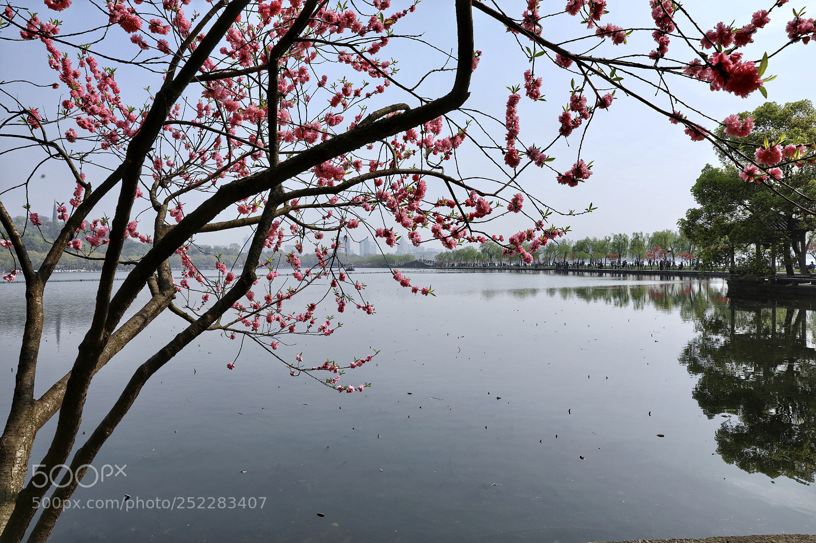 Canon EOS 5D Mark IV sample photo. 西湖 photography