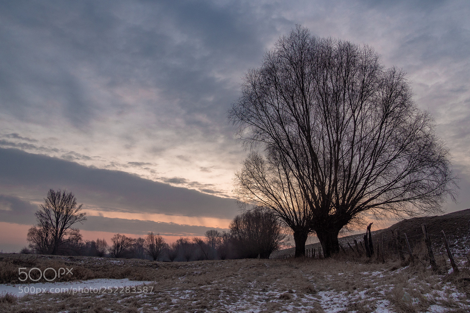 Olympus OM-D E-M10 II sample photo. Sunrise on countryfield photography