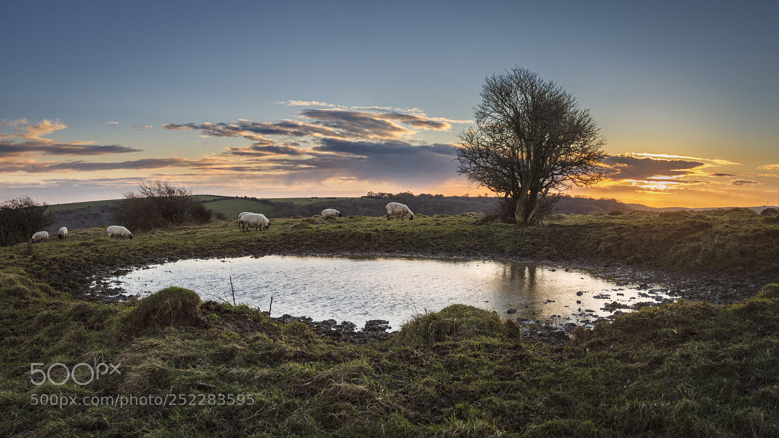Canon EOS 5D Mark II sample photo. Wolstonbury sunset photography