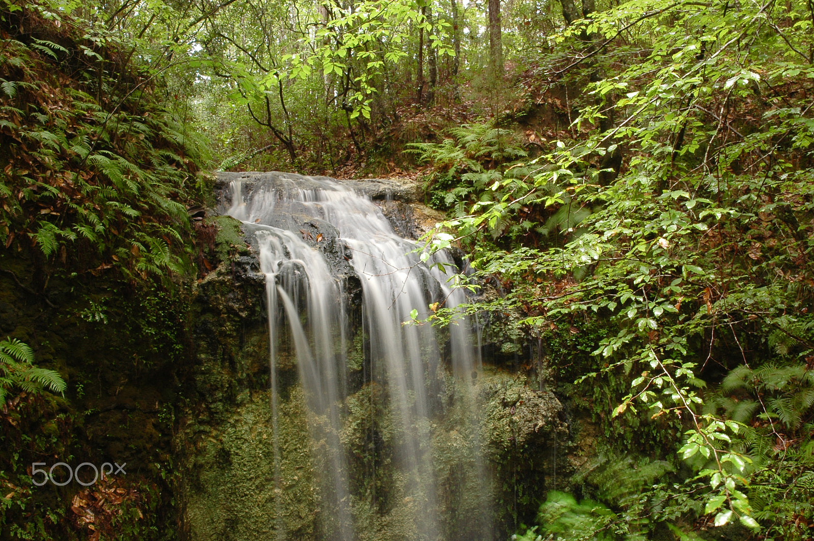 Nikon D70 sample photo. Falling water photography