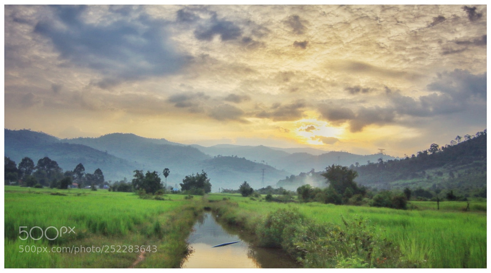 Canon EOS 80D sample photo. Untitled photography