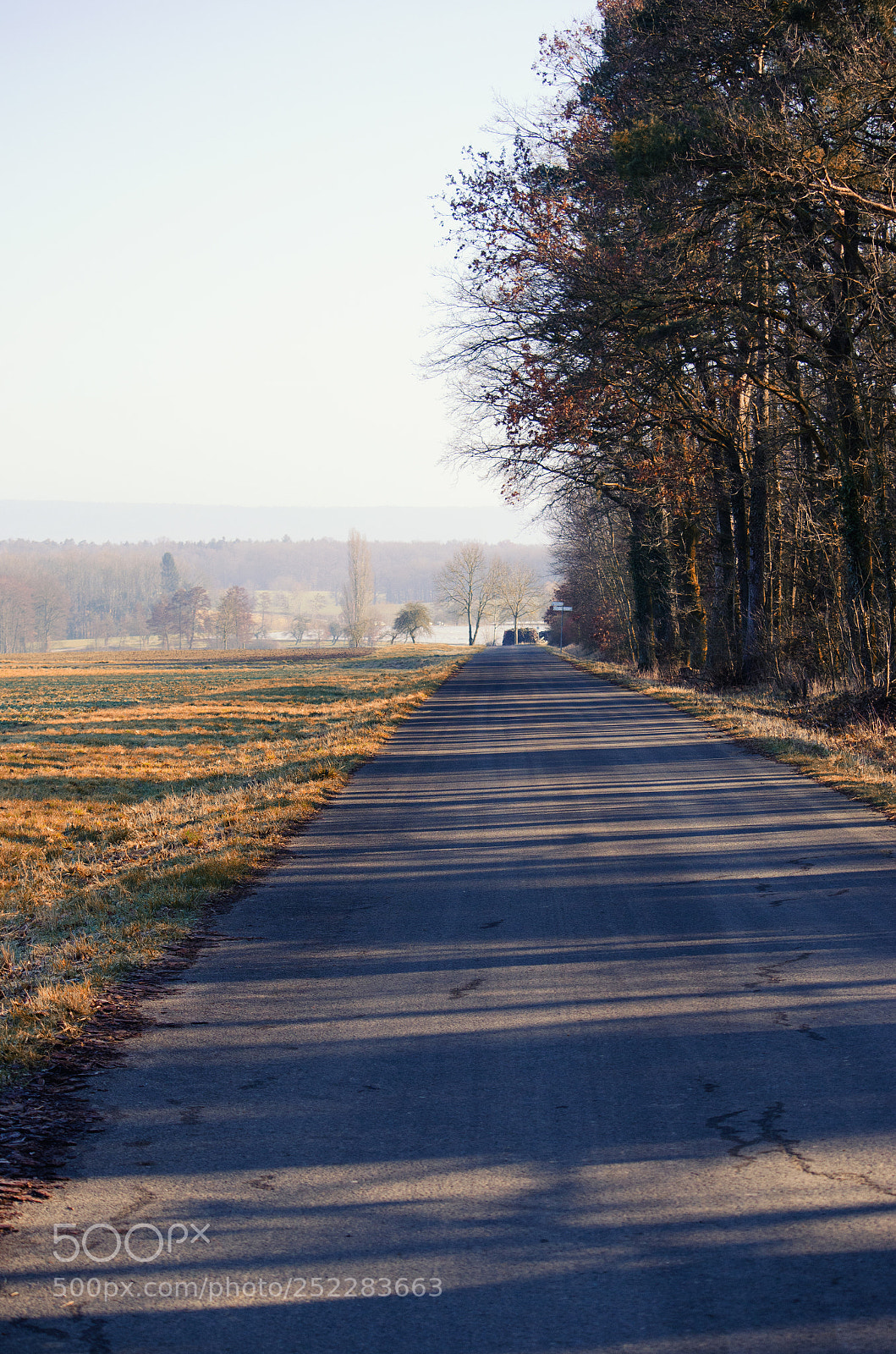 Nikon D5100 sample photo. Rural landscape view in photography