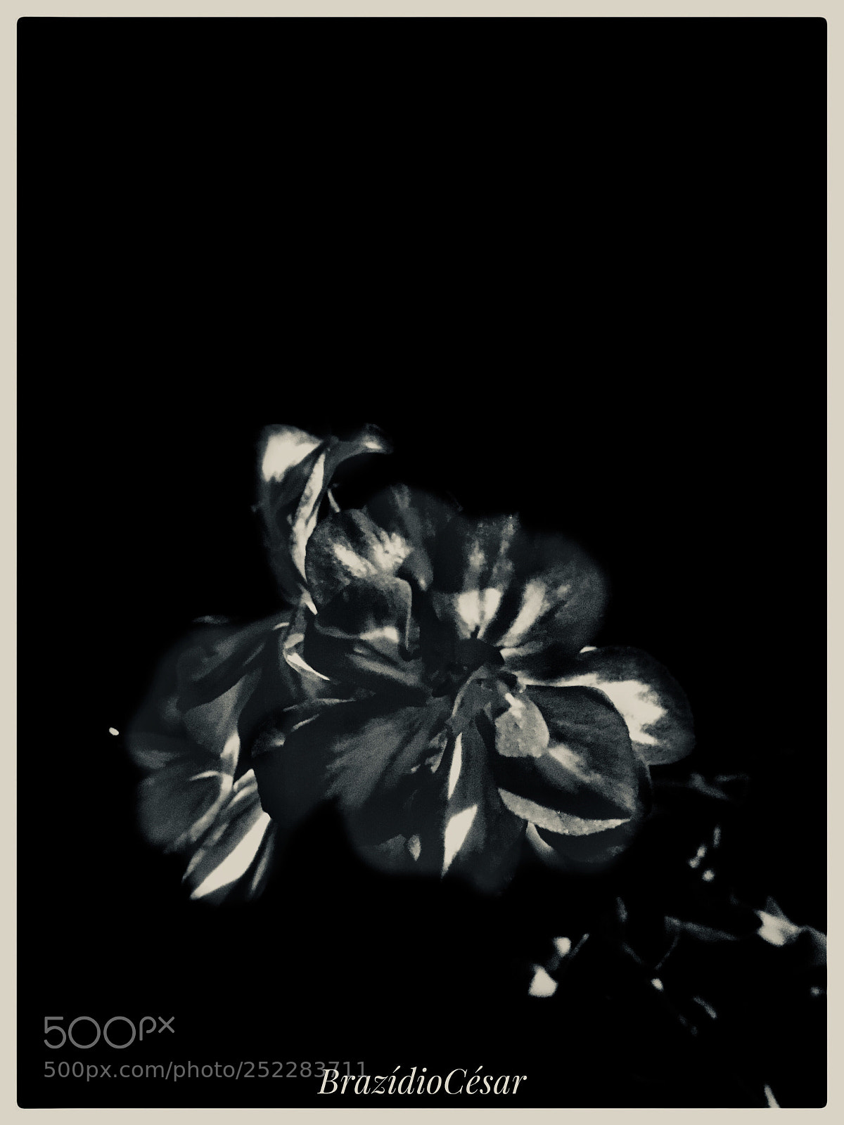Apple iPhone 6s sample photo. Untitled photography