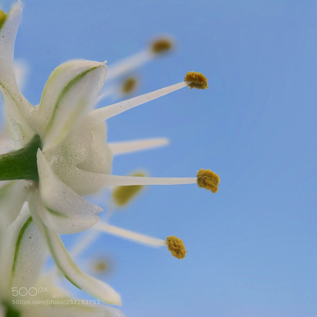 Nikon D5300 sample photo. Untitled photography