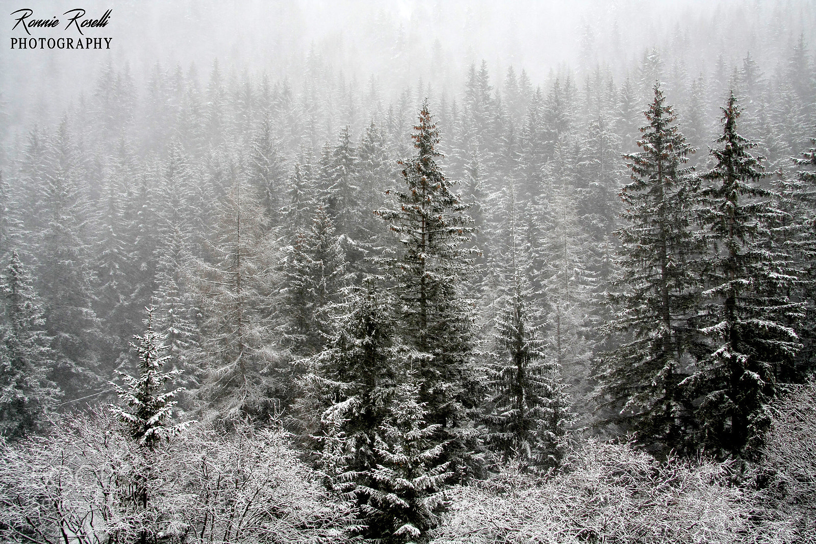 Canon EOS 40D sample photo. Snow photography