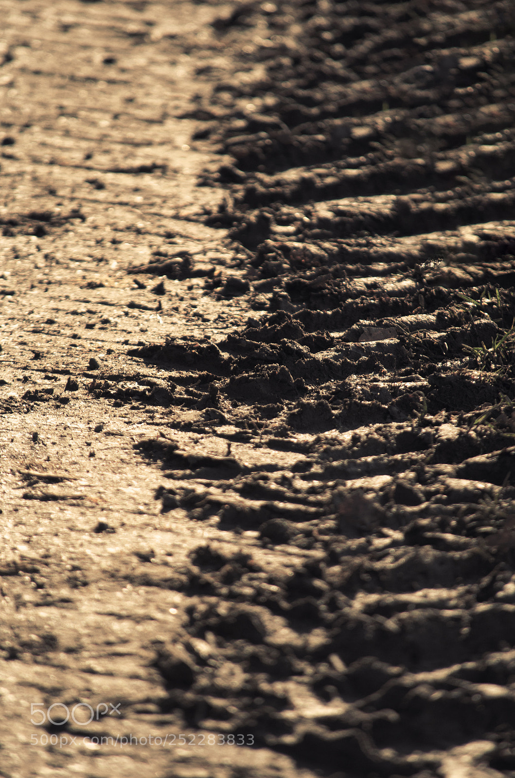 Nikon D5100 sample photo. Dirt road with tire photography