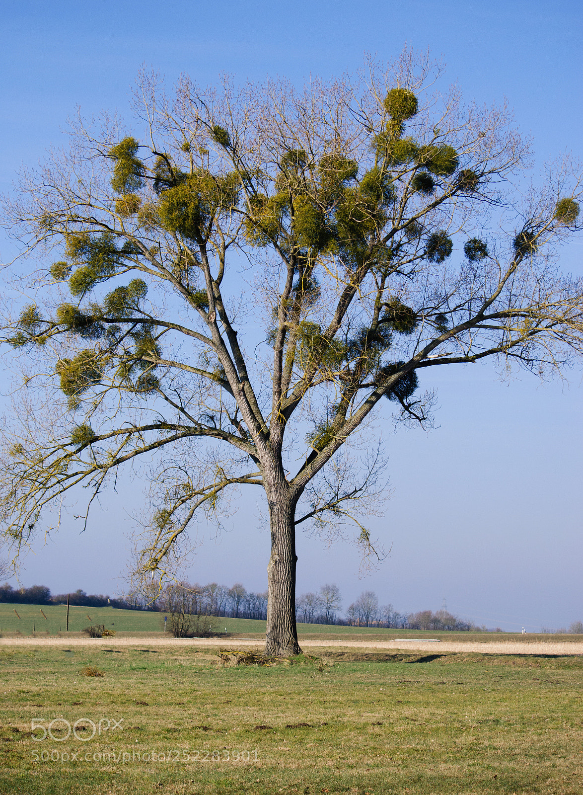 Nikon D5100 sample photo. Rural landscape view in photography