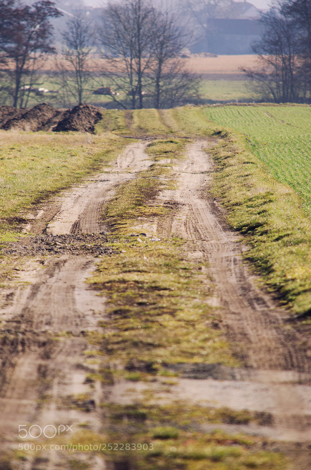Nikon D5100 sample photo. Rural landscape view in photography