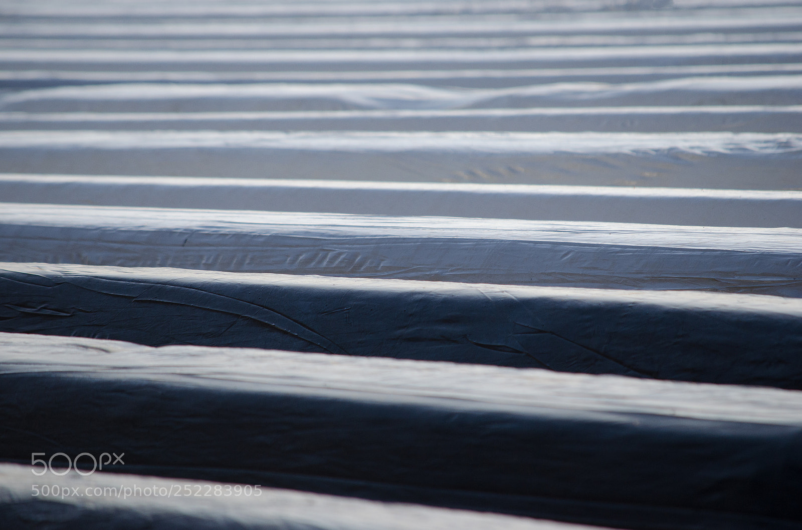 Nikon D5100 sample photo. Foil plastic coverage photography