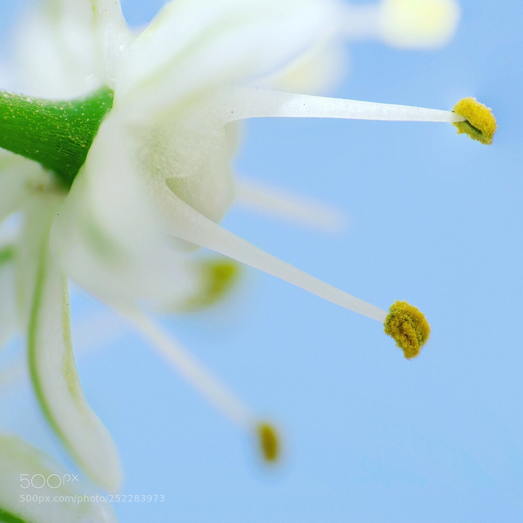 Nikon D5300 sample photo. Untitled photography