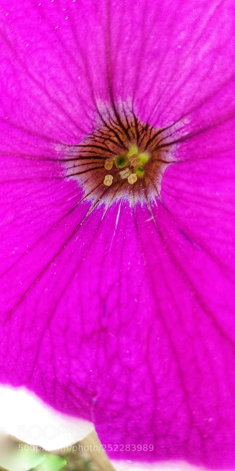 LG G6 sample photo. Hidden secrets? photography
