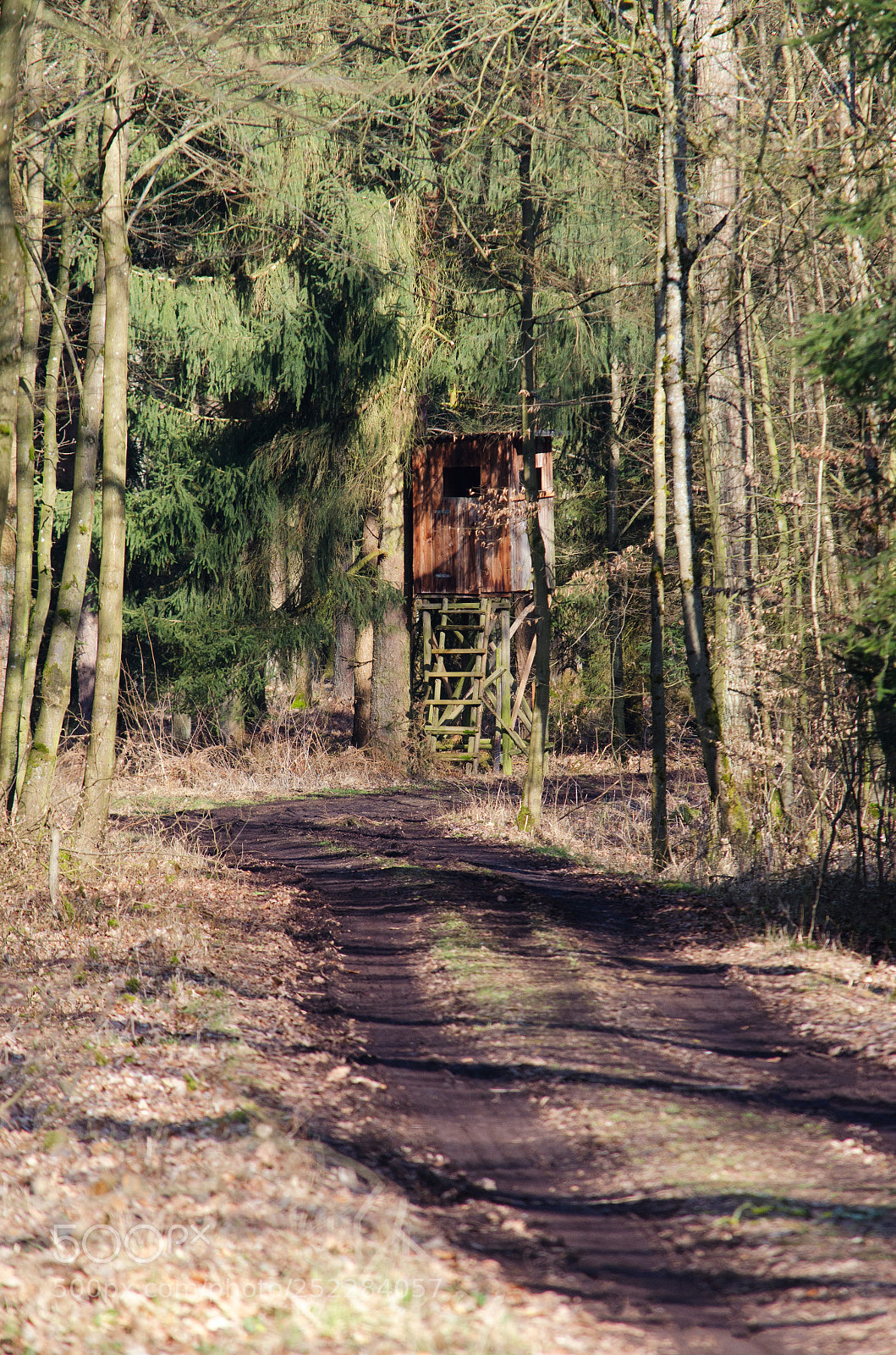 Nikon D5100 sample photo. Hidden hunter seat in photography