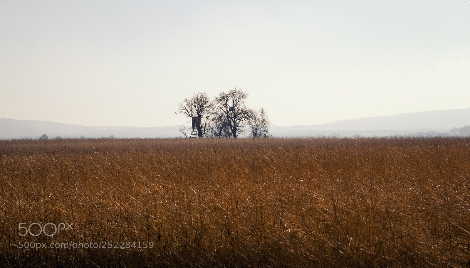 Nikon D5100 sample photo. Rural landscape view in photography