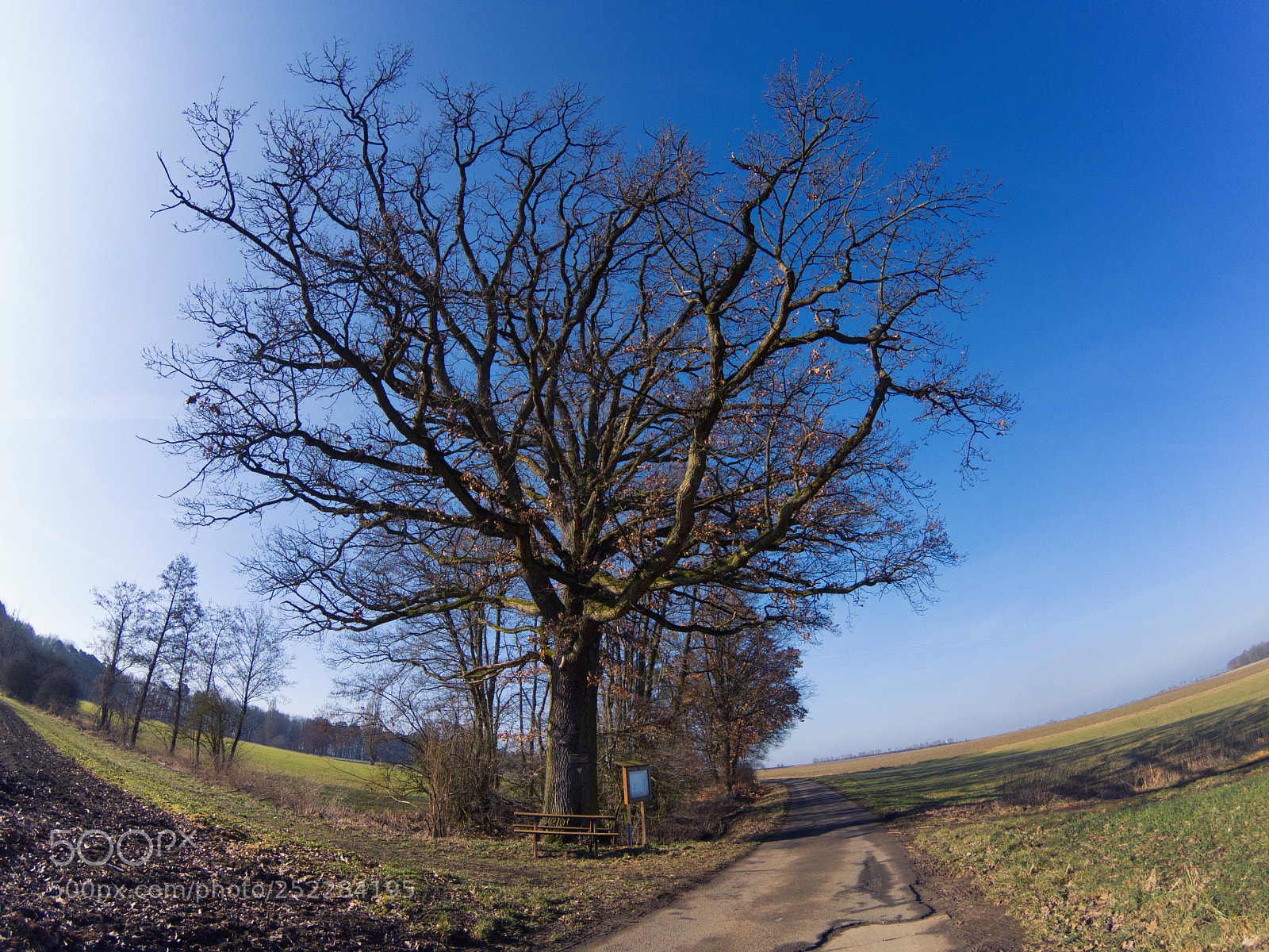 GoPro Hero5 Black sample photo. Rural landscape view in photography