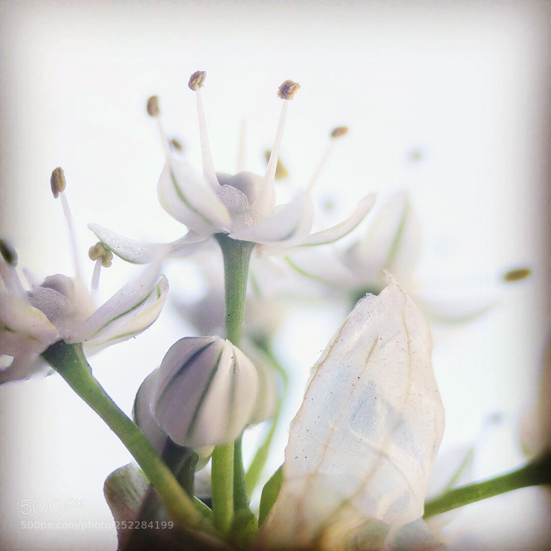 Nikon D5300 sample photo. Untitled photography
