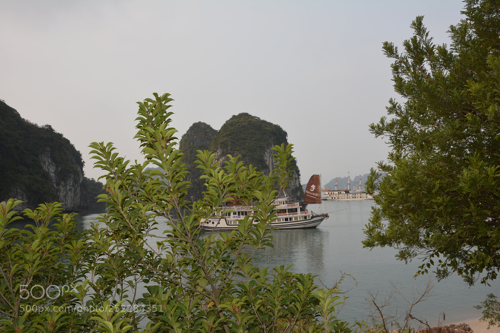 Nikon D5200 sample photo. Dsc photography