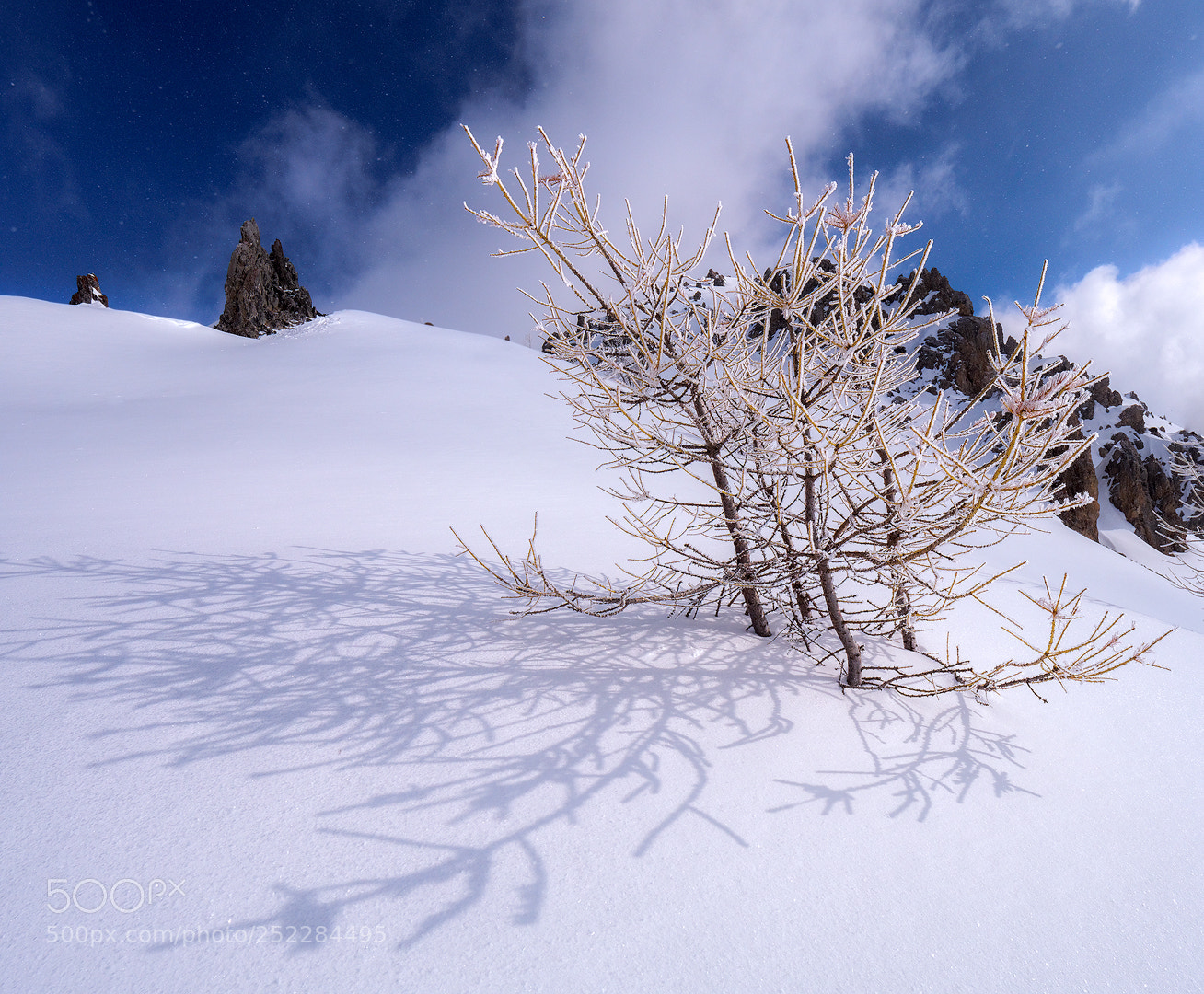 Panasonic Lumix DMC-GX8 sample photo. Snow motion 2 photography