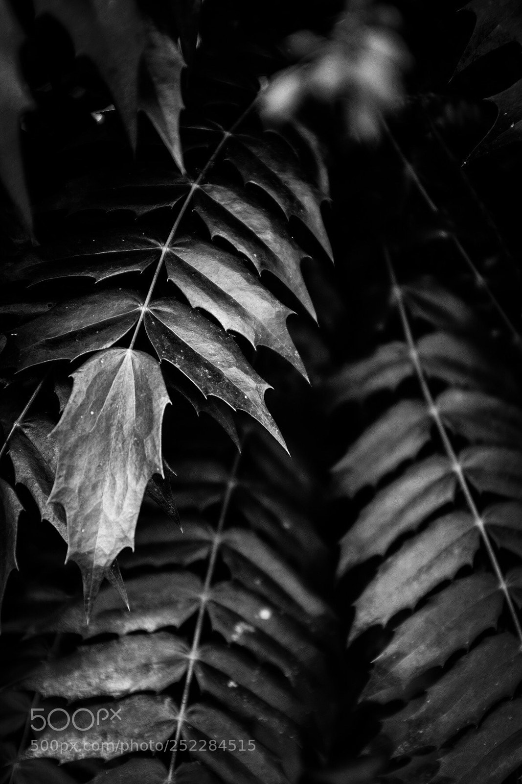 Fujifilm X100F sample photo. Untitled photography