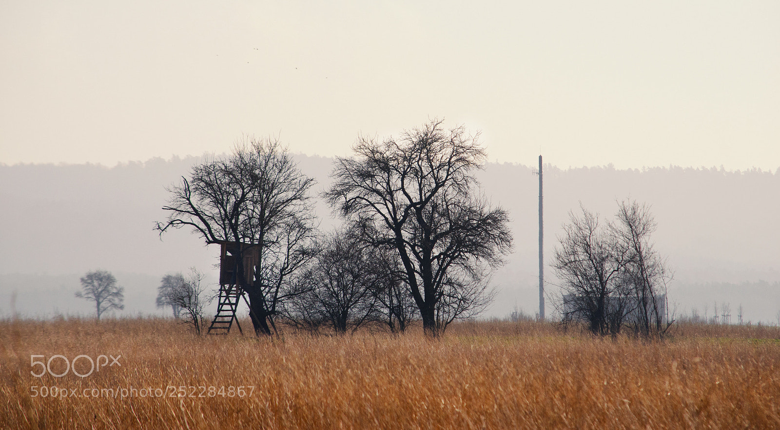 Nikon D5100 sample photo. Rural landscape view in photography