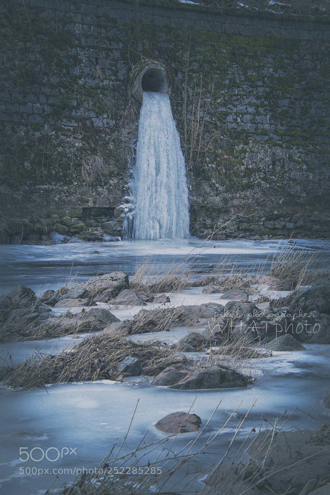 Nikon D5500 sample photo. Tube.. photography
