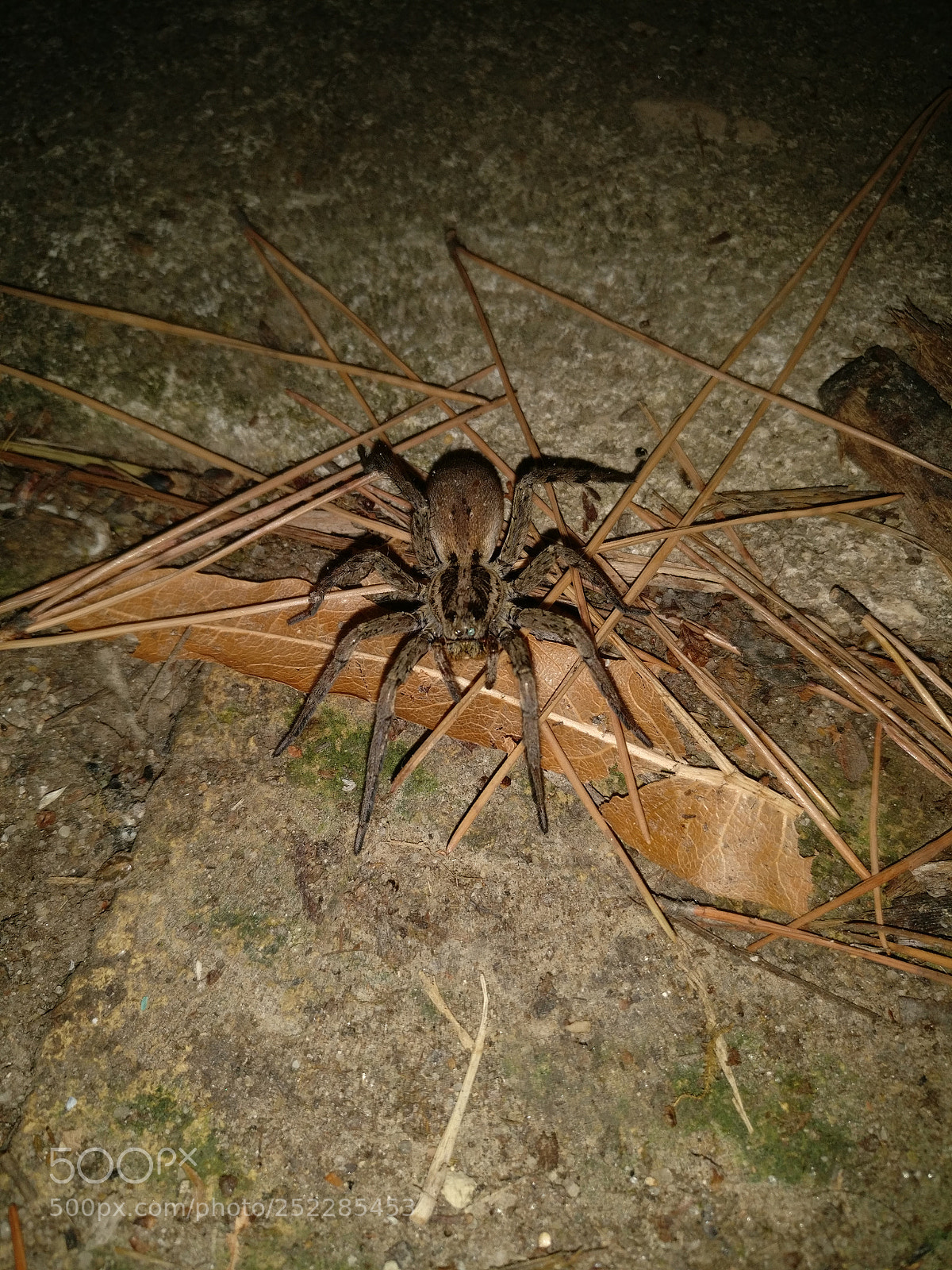 OnePlus A3003 sample photo. Img_20170722_234416.jpg photography