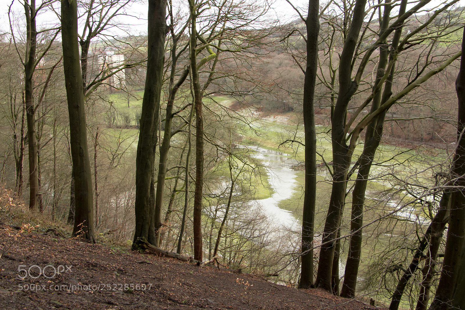 Canon EOS 700D (EOS Rebel T5i / EOS Kiss X7i) sample photo. Flooded fields photography