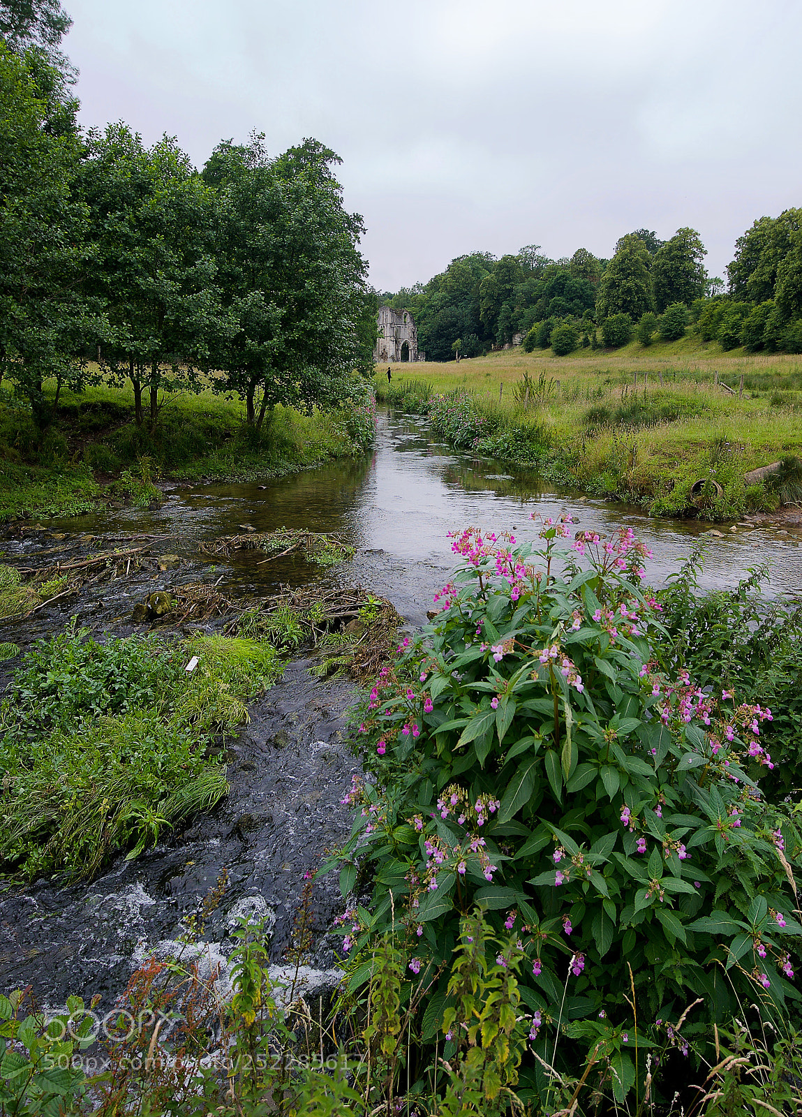 Nikon D700 sample photo. Roche abbey photography