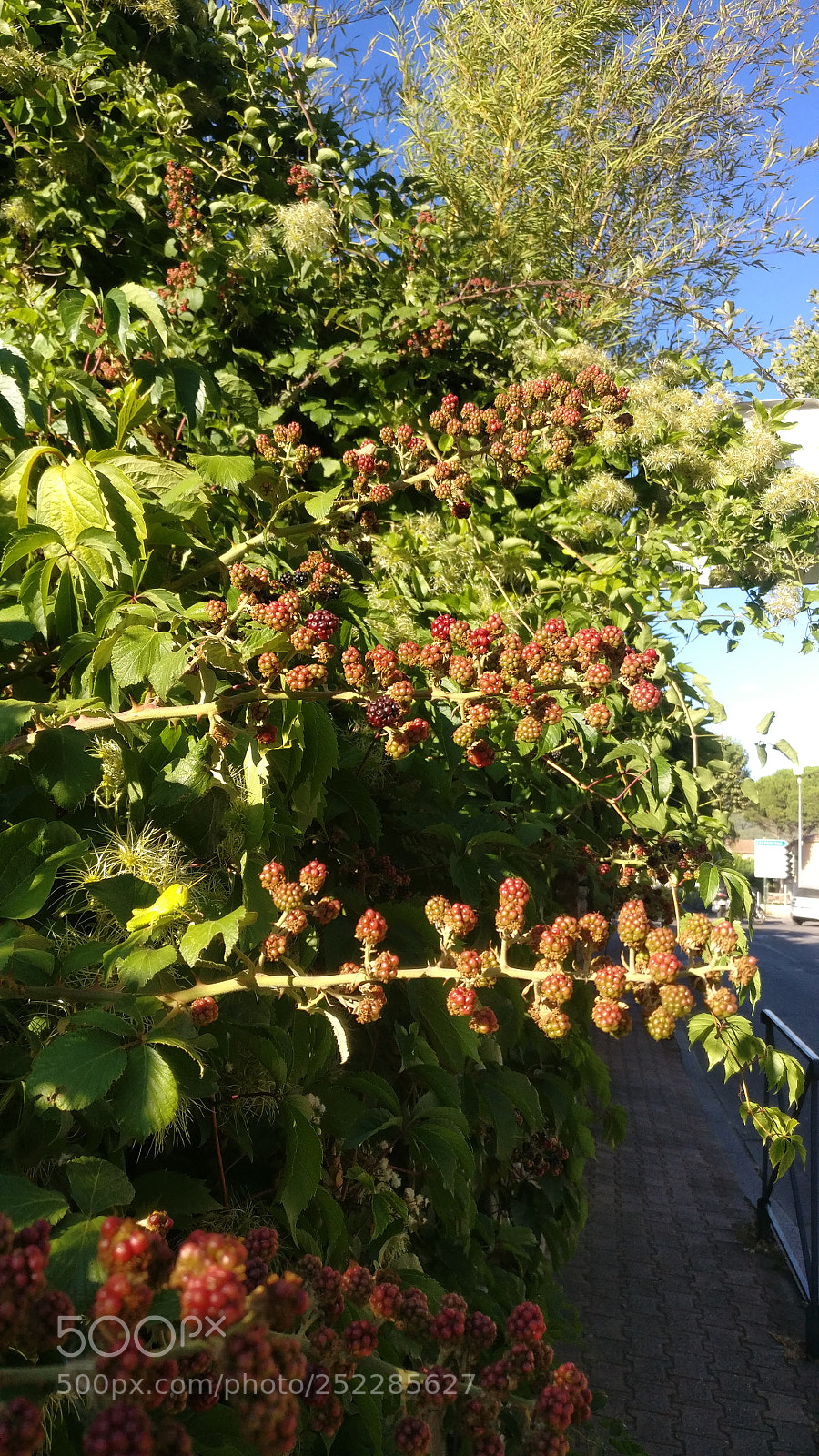 OnePlus A3003 sample photo. Img_20170724_191110.jpg photography