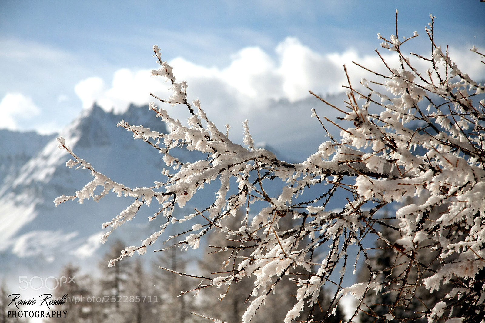 Canon EOS 40D sample photo. Frozen photography