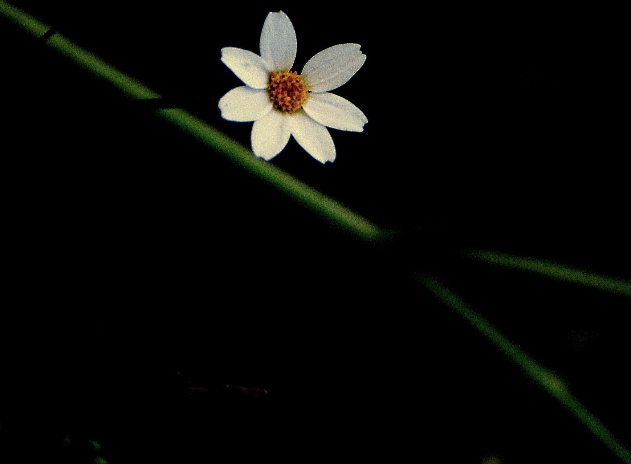 Canon EF-S 18-200mm F3.5-5.6 IS sample photo. Looking for photography