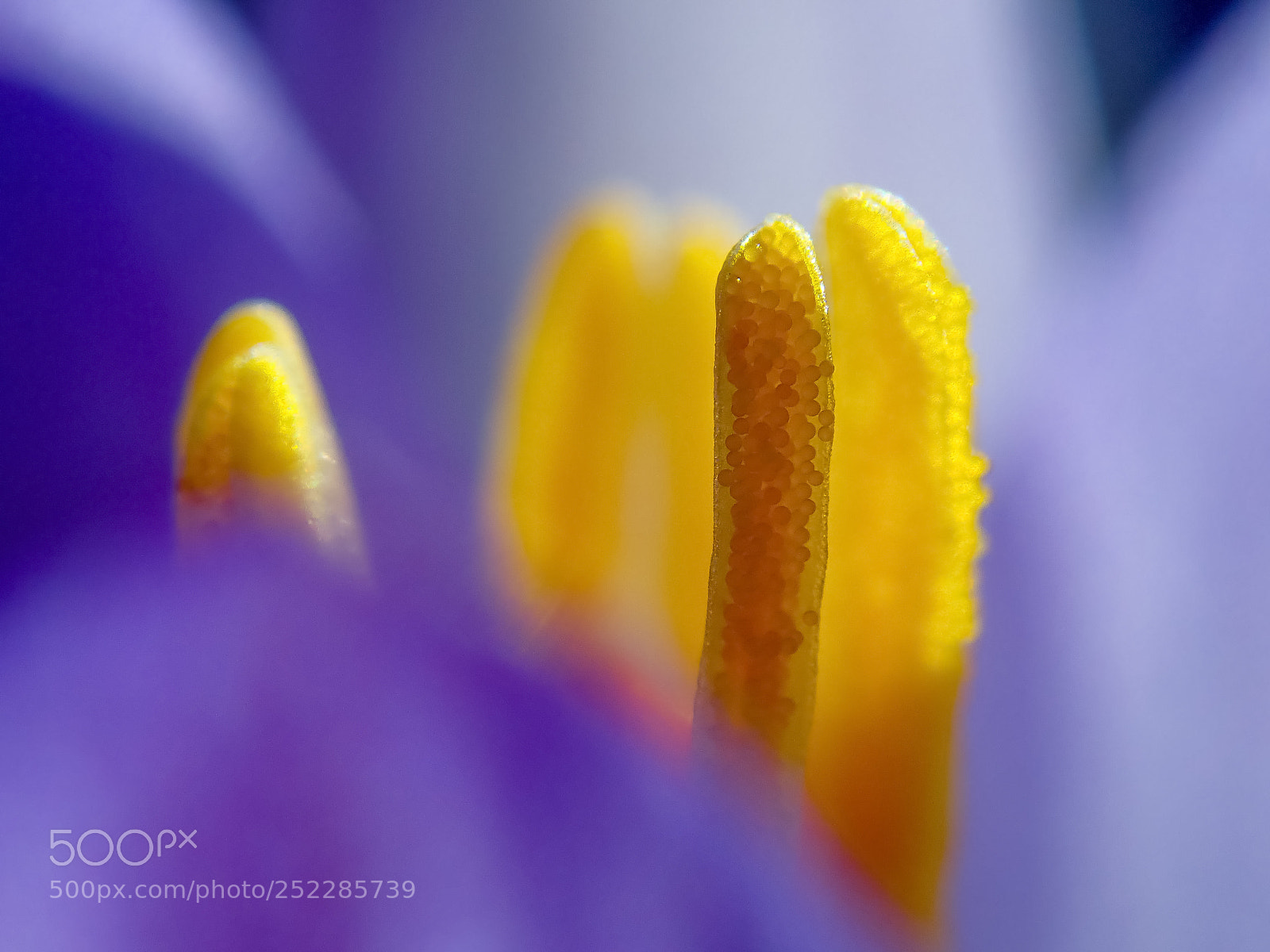 Olympus TG-5 sample photo. Spring in lithuania photography
