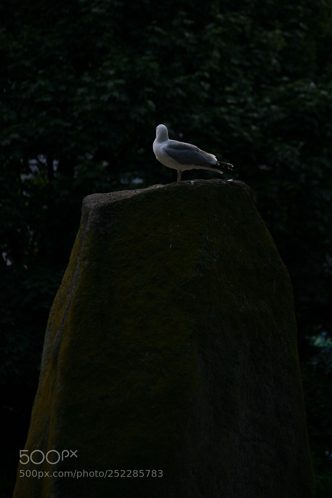 Canon EOS 20D sample photo. New photography