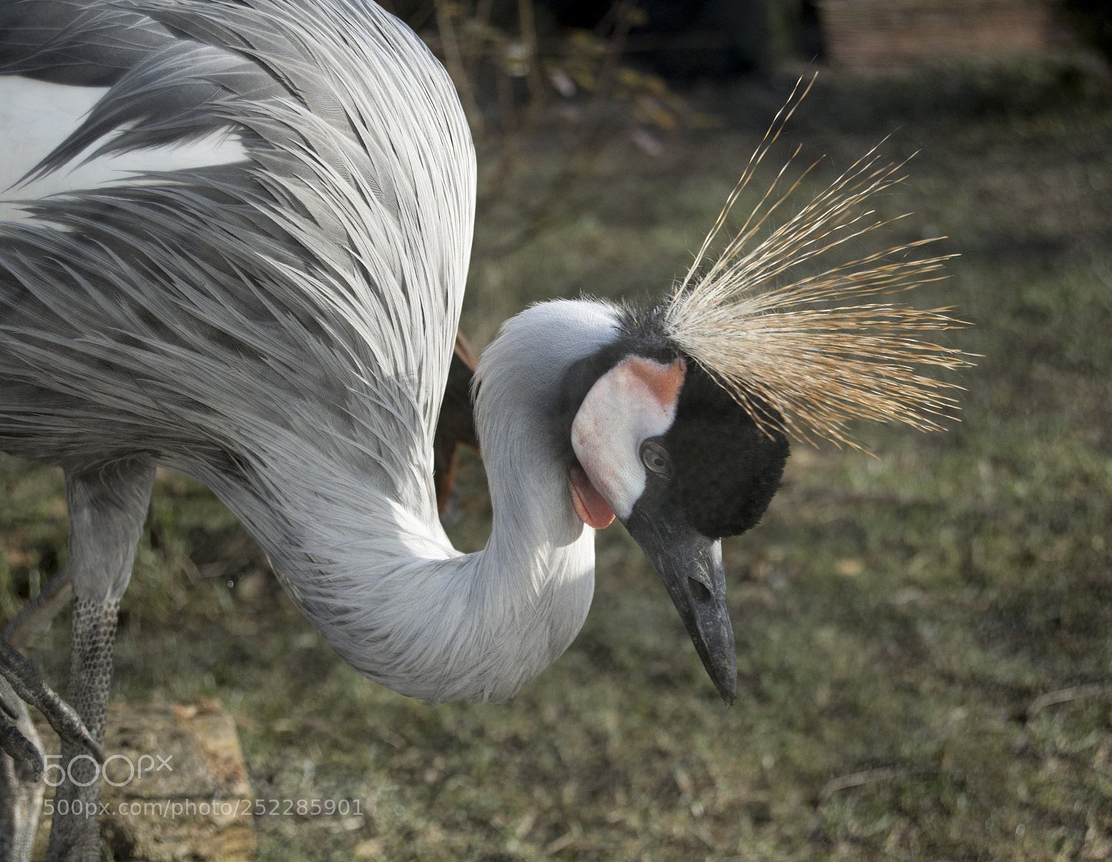 Nikon D5200 sample photo. Research photography