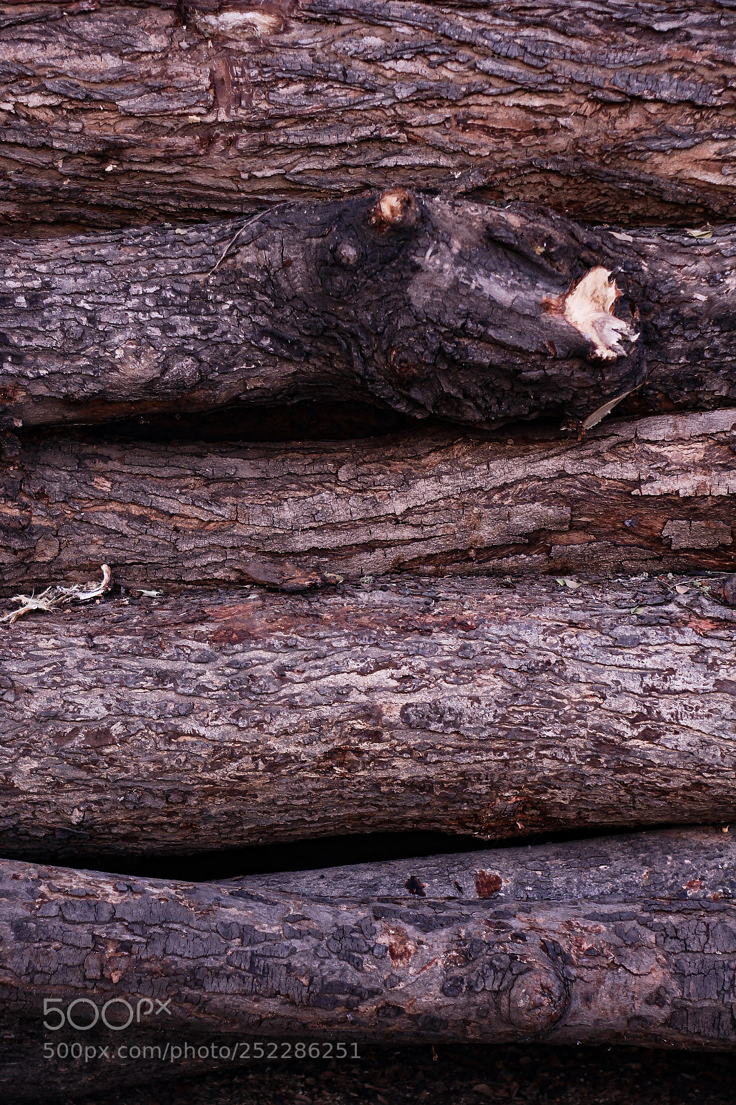 Canon EOS 60D sample photo. Pile of woods photography