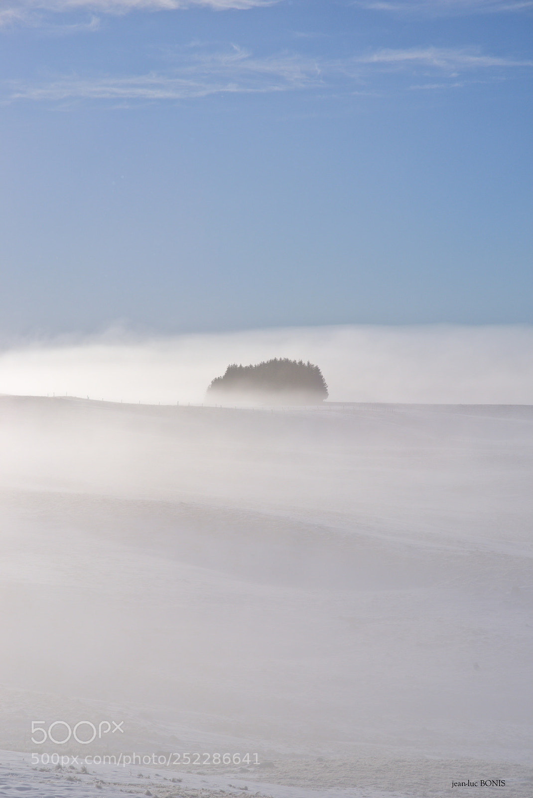 Pentax K-1 sample photo. Comme du coton -aubrac photography