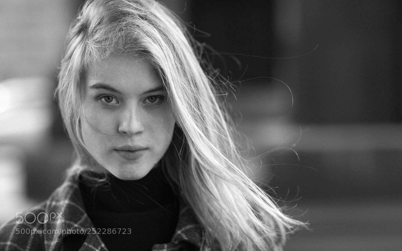 Canon EOS 5D Mark II sample photo. Untitled photography