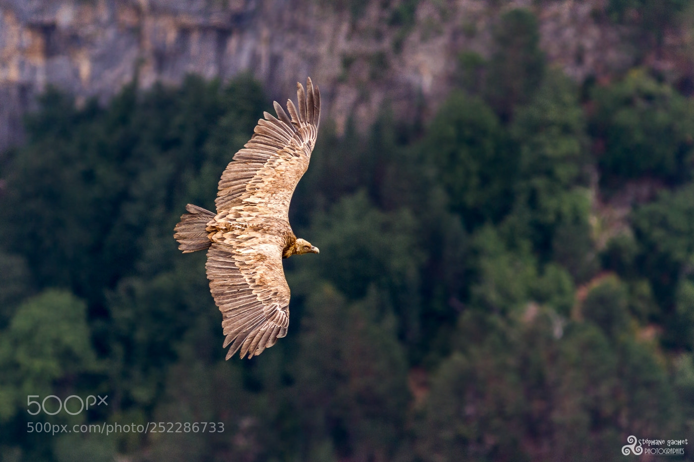 Canon EOS 7D sample photo. Souvenir de planeur photography