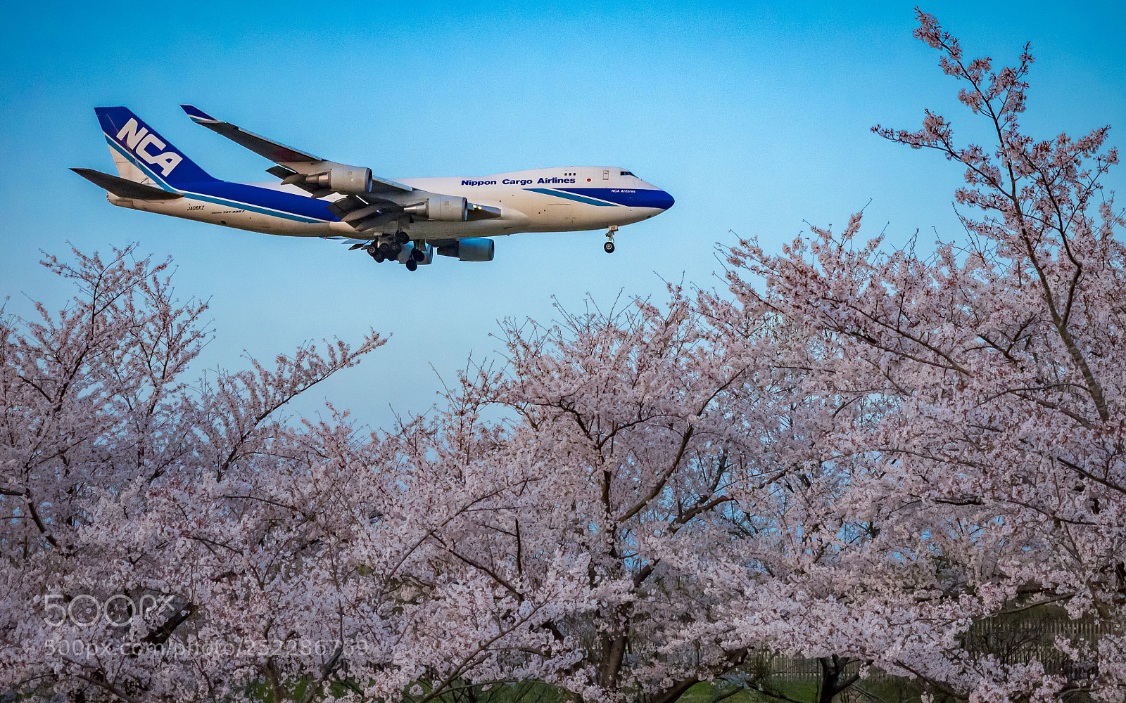 Olympus OM-D E-M1 sample photo. Good　season photography