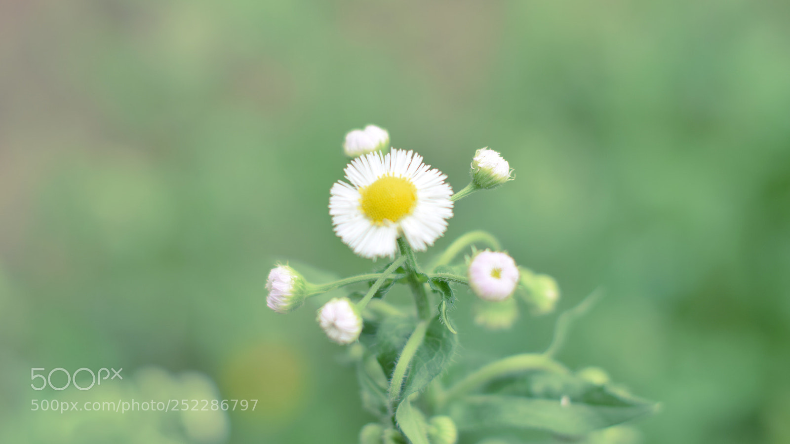 Nikon D5300 sample photo. Untitled photography