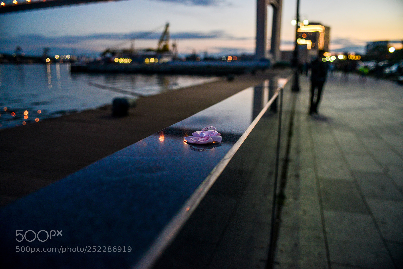 Nikon D600 sample photo. Забытая брошь photography