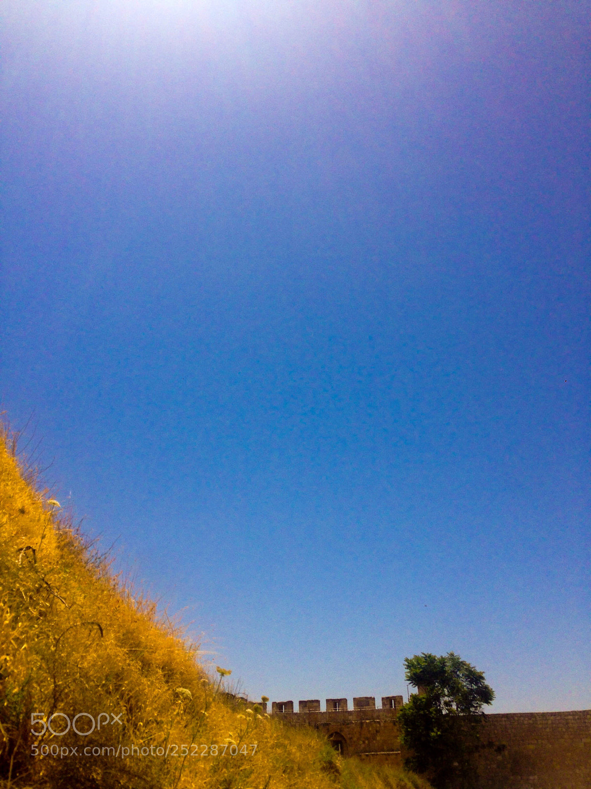 Apple iPhone 5 sample photo. Untitled photography