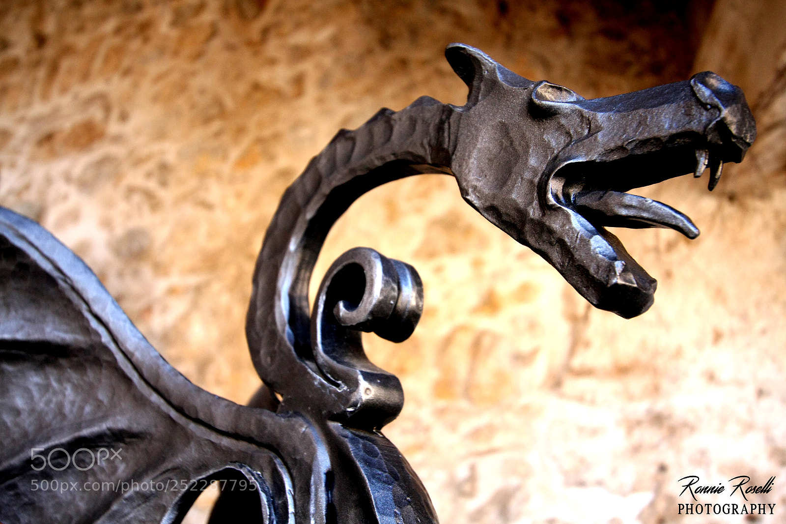 Canon EOS 40D sample photo. Drake photography