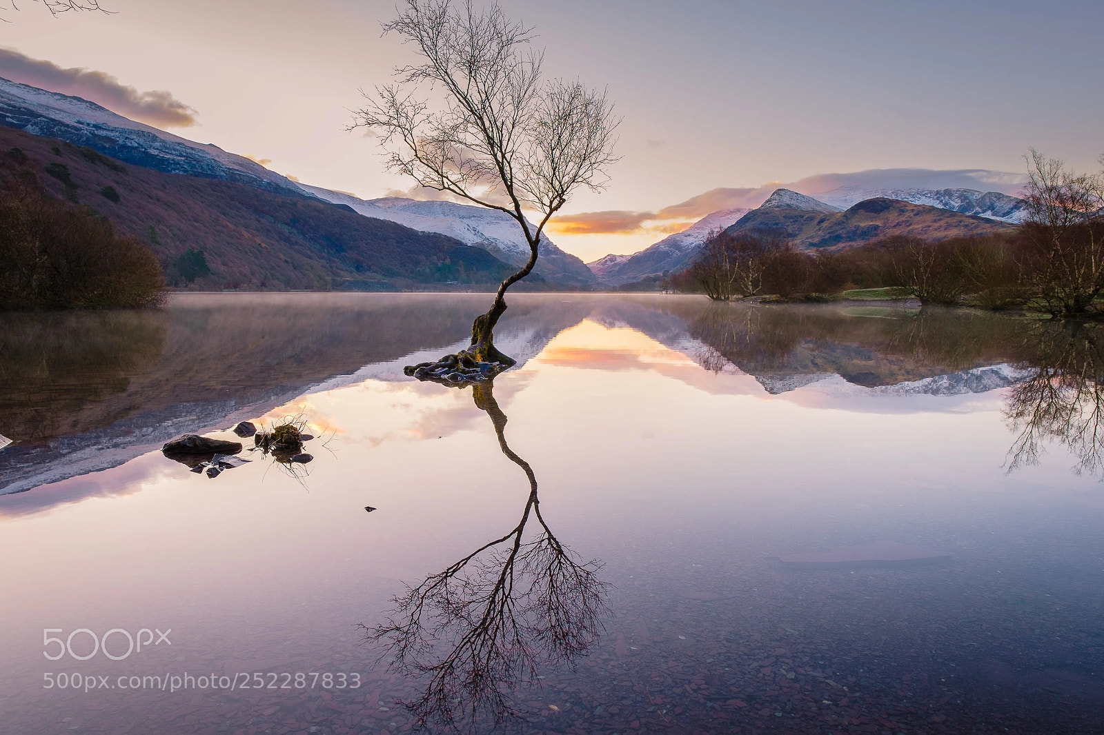 Fujifilm X-Pro2 sample photo. Lake padarn lonely tree photography